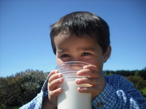 Goat milk Soap NZ drinking Goat Milk