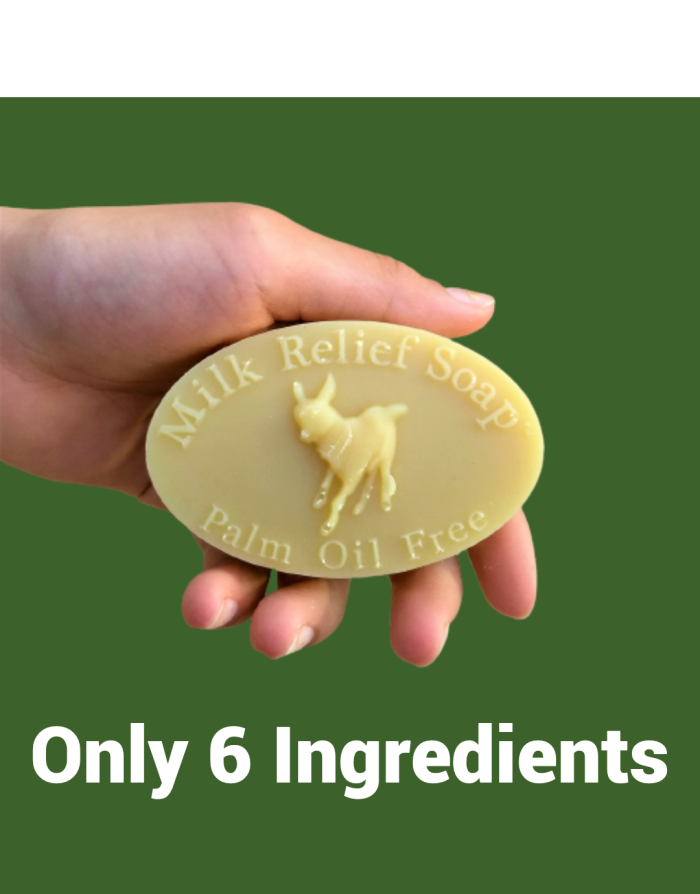 Goat Milk Soap NZ Only 6 Ingredients Natural Care for Eczema and Psoriasis